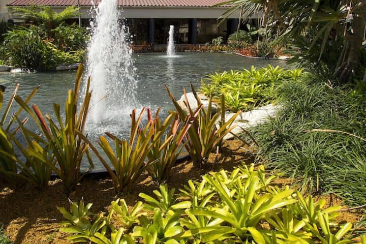 Property grounds